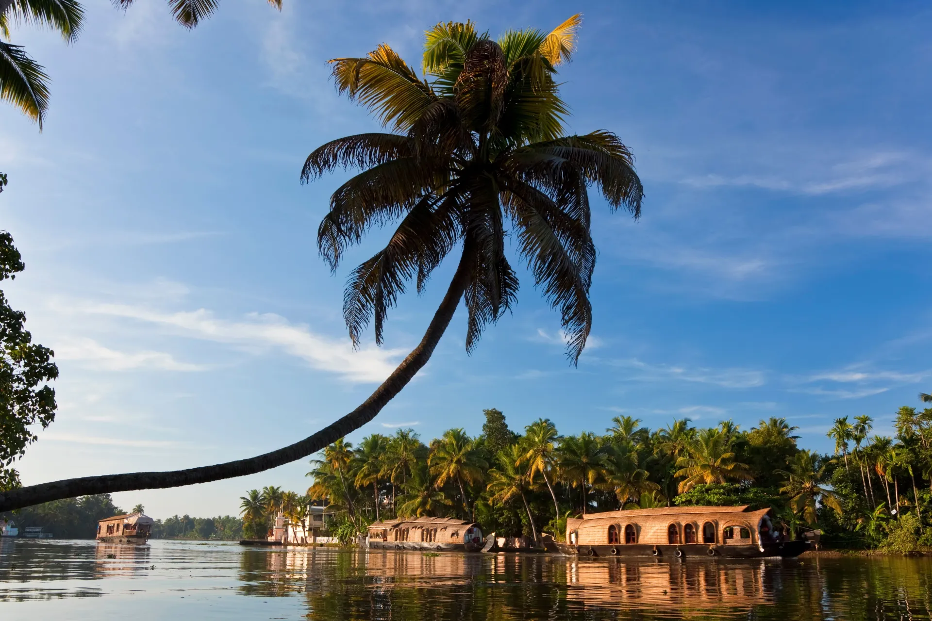 Experience the Timeless Charm of Kerala