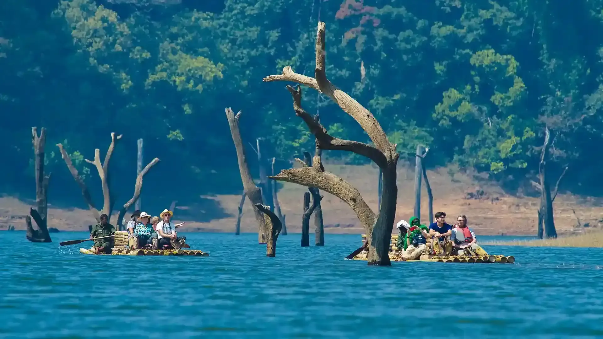 Where Nature Meets Silence