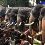 aanayoottu_vadakumnathan_temple_3_335