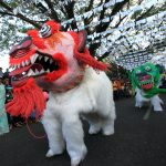 cochin_carnival_4_366